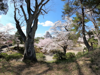 花よりハイブリッド